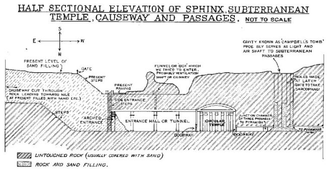 Sphinx subterranean