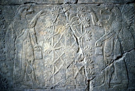 Bass-relief from Ashurnasirpal II's palace in Nimrud